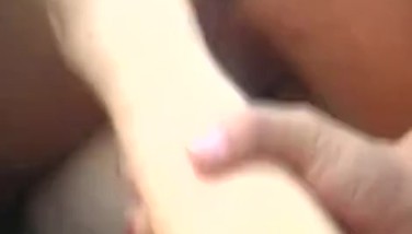 Asian bangbus
