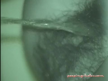 Japanese Voyeur 1766 4