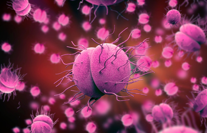 It is not possible to contract STDs through oral sex